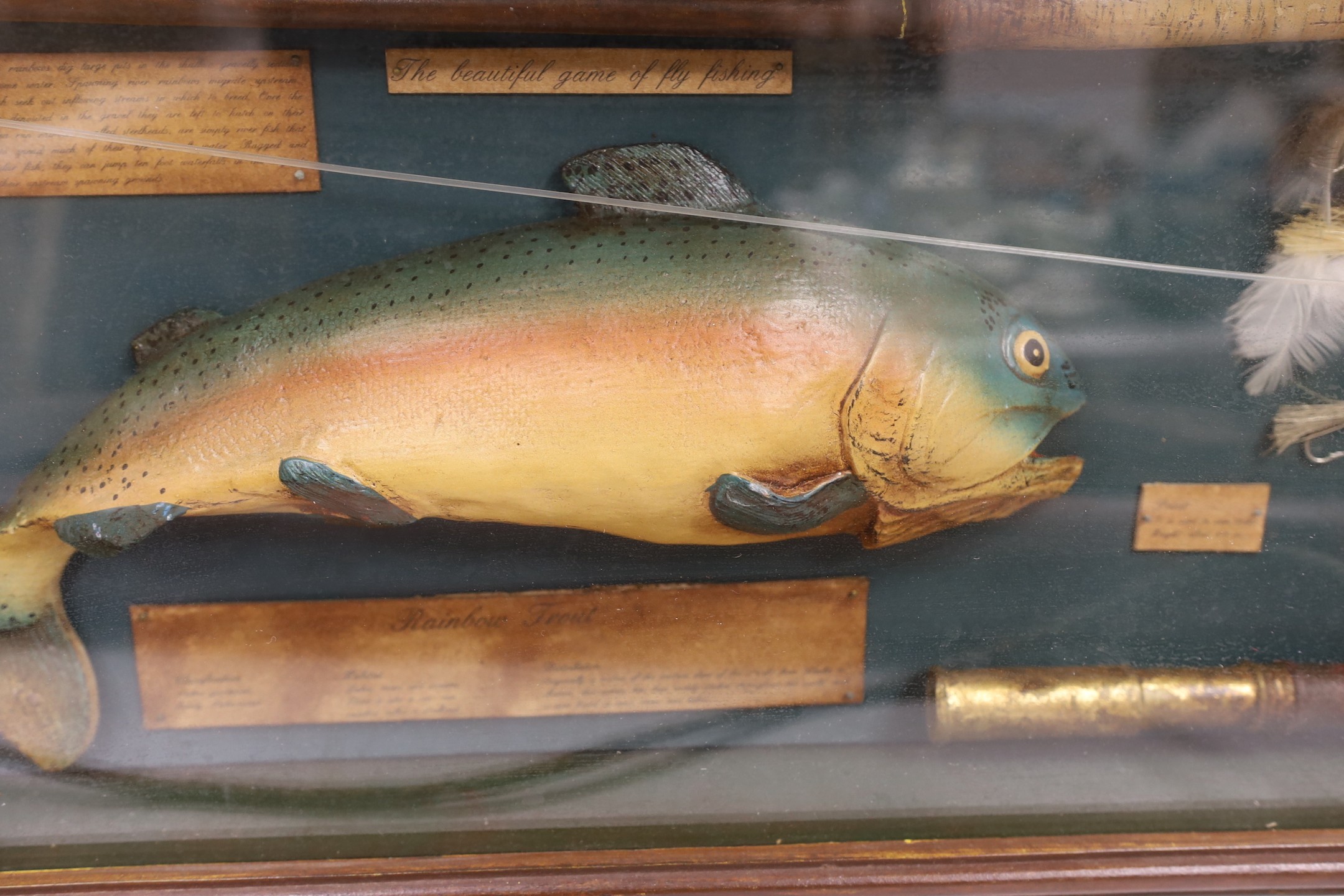 A cased fishing display case of a Rainbow Trout centred around angling ephemera, 106 x 34cm